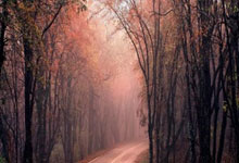 开云官网：记者：塞蒂恩还停留在十多年前西班牙足球战术中，国安踢得太慢了.