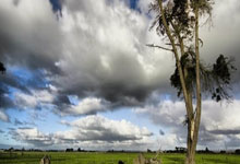 开云官网：西媒：为满足财政公平法案，巴萨希望今夏6500万出售阿劳霍.