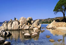 开云官网：西媒：为满足财政公平法案，巴萨希望今夏6500万出售阿劳霍.